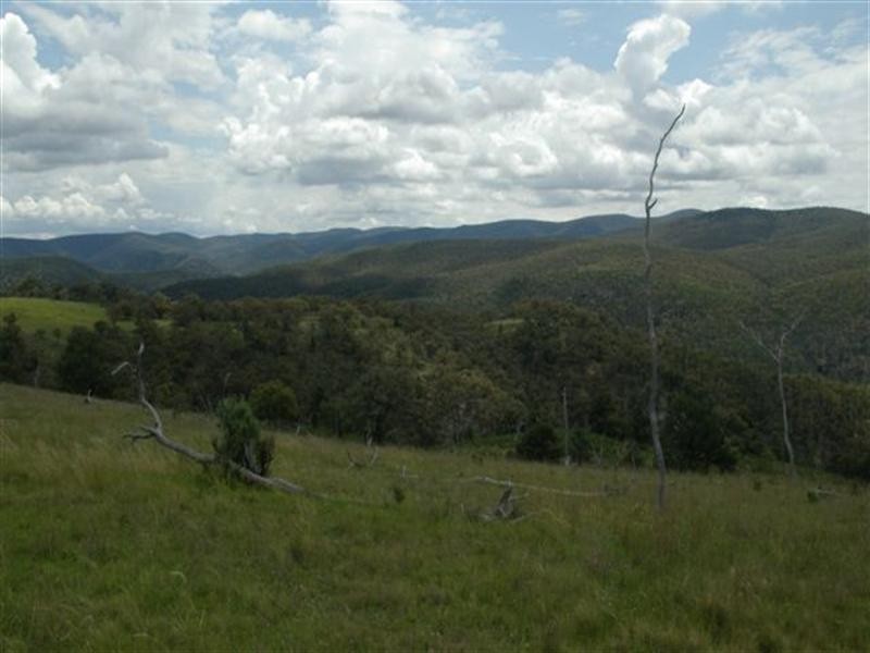 Kaloola Bruxner Highway, Tenterfield NSW 2372