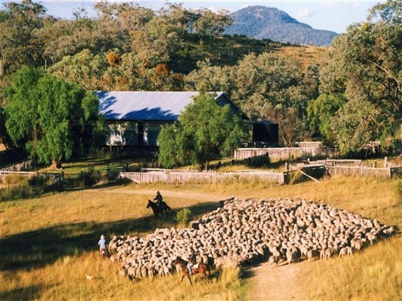 Kaloola Bruxner Highway, Tenterfield NSW 2372