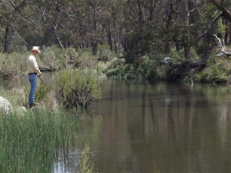 “Cloudy Hills” Bezzants Road, Deepwater NSW 2371
