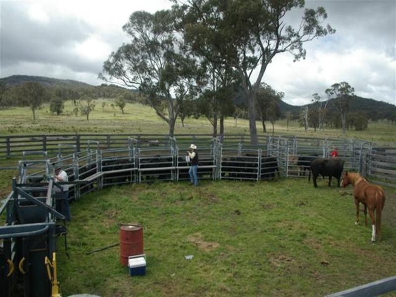 “Cloudy Hills” Bezzants Road, Deepwater NSW 2371