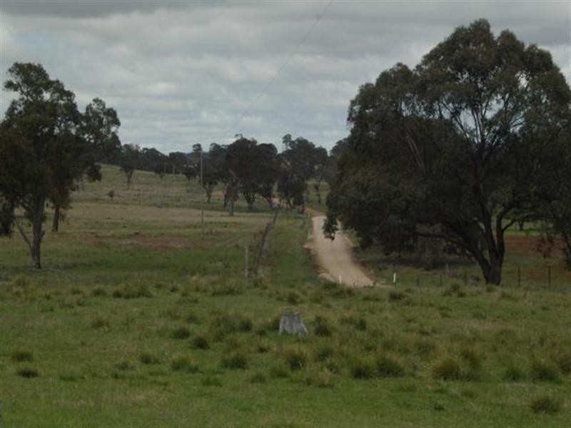 “Cloudy Hills” Bezzants Road, Deepwater NSW 2371