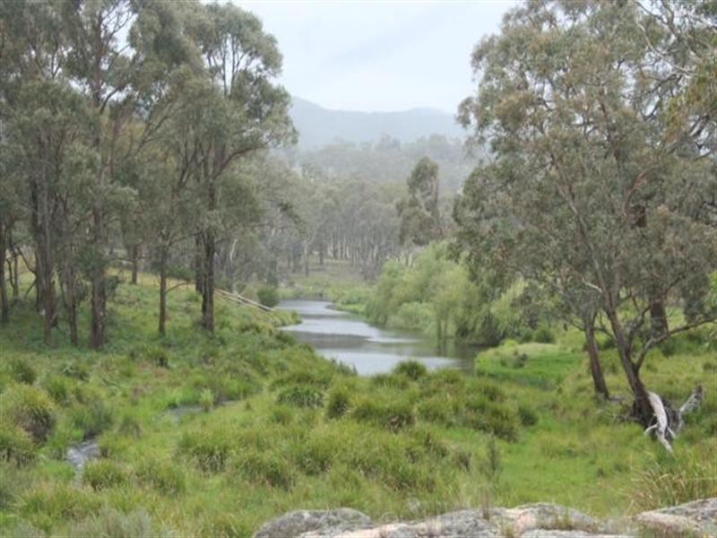 “Cloudy Hills” Bezzants Road, Deepwater NSW 2371