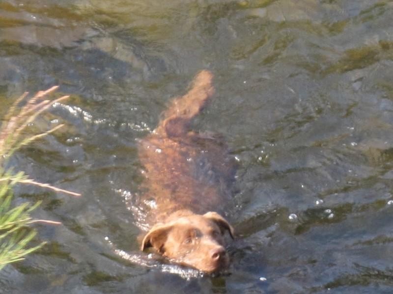 “Beltana” Chauvel Road, Tabulam NSW 2469