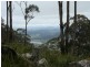 Lot 2 Mount McKenzie Road, Tenterfield NSW 2372