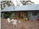 Lot 2 Mount McKenzie Road, Tenterfield NSW 2372