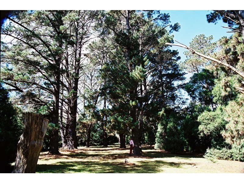 Tenterfield NSW 2372