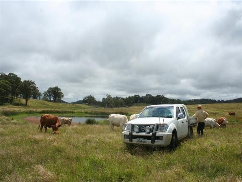 . Scrub School Road, Tenterfield NSW 2372
