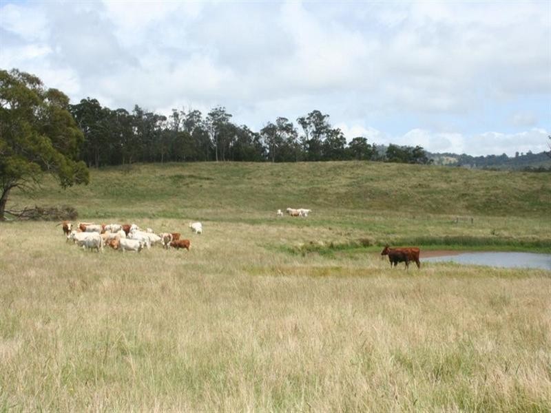 . Scrub School Road, Tenterfield NSW 2372