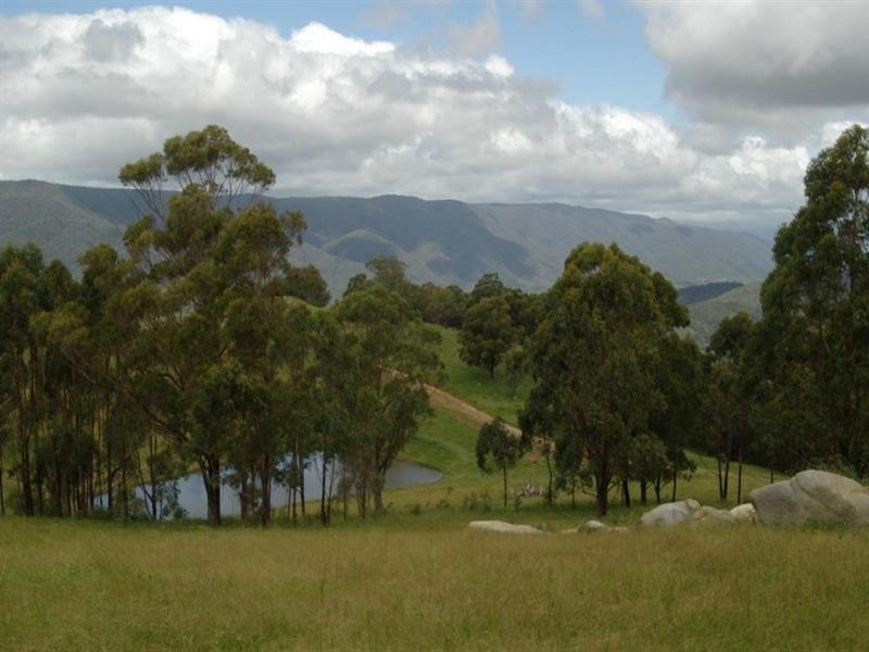 Hidden Hills Timbarra Road, Tenterfield NSW 2372