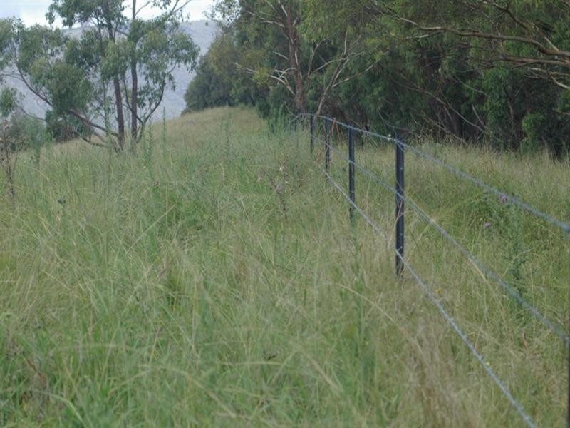 Hidden Hills Timbarra Road, Tenterfield NSW 2372