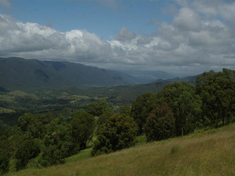 Hidden Hills Timbarra Road, Tenterfield NSW 2372
