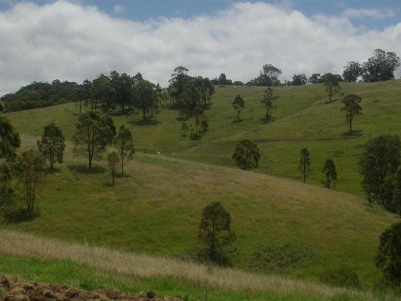 Hidden Hills Timbarra Road, Tenterfield NSW 2372
