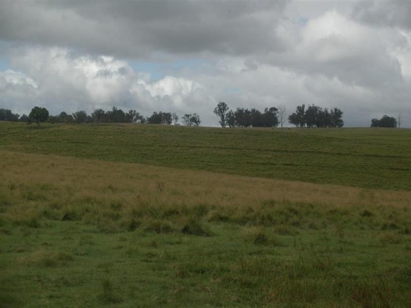 Lot 1 Nutshell Road, Tenterfield NSW 2372