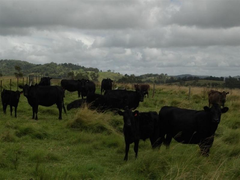 Lot 1 Nutshell Road, Tenterfield NSW 2372