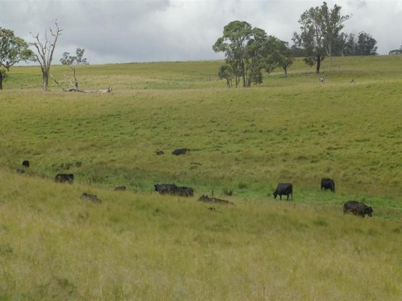 Lot 2 Nutshell Road, Tenterfield NSW 2372
