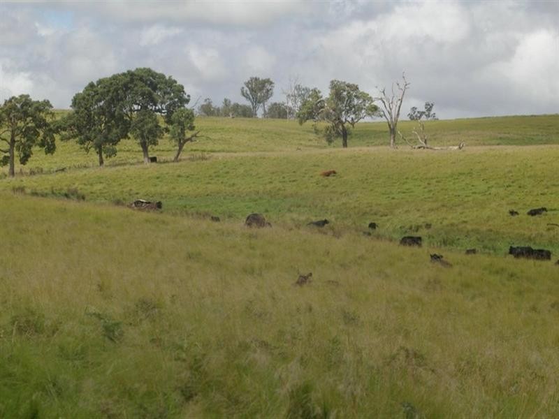 Lot 2 Nutshell Road, Tenterfield NSW 2372