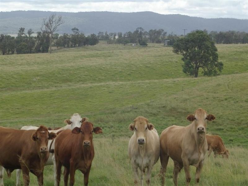 Lot 3 Timbarra Road, Tenterfield NSW 2372