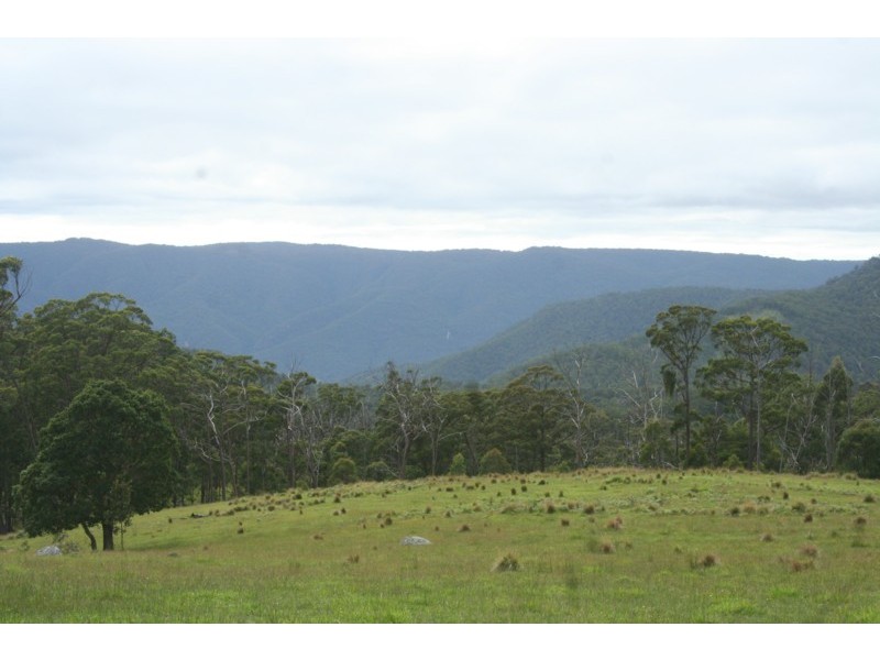 Tenterfield NSW 2372