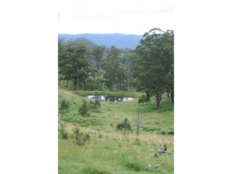 Tenterfield NSW 2372