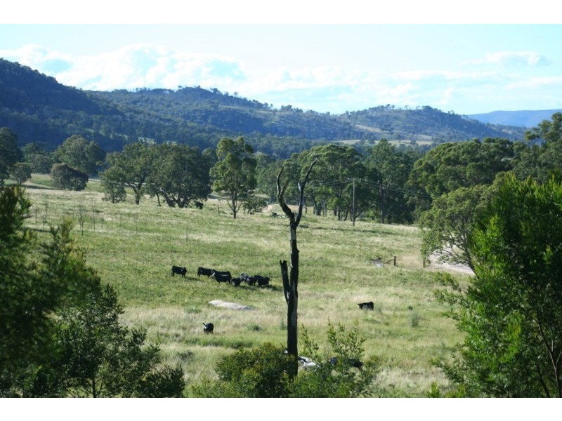 Tenterfield NSW 2372