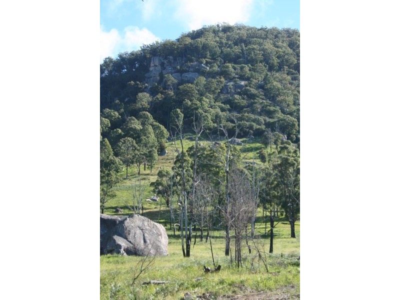 Tenterfield NSW 2372