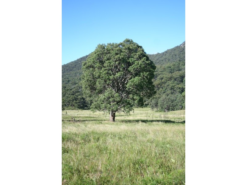 Tenterfield NSW 2372