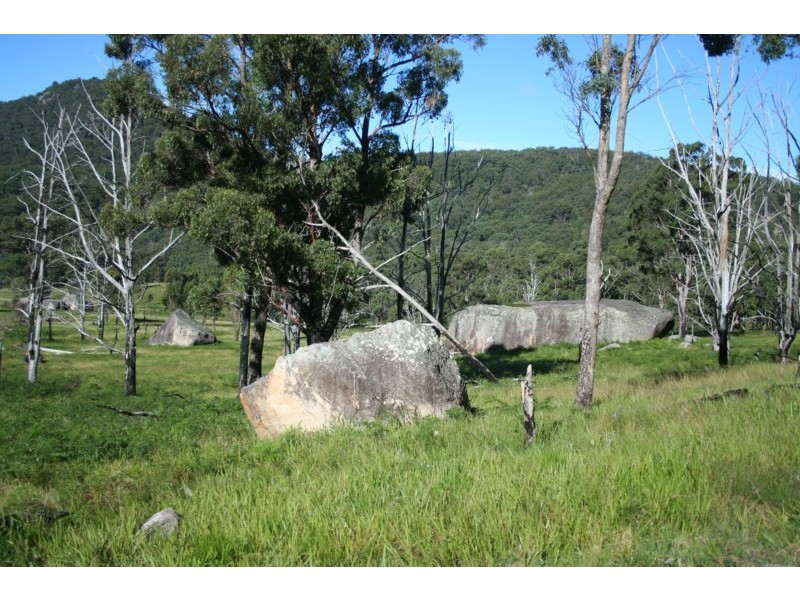 Tenterfield NSW 2372