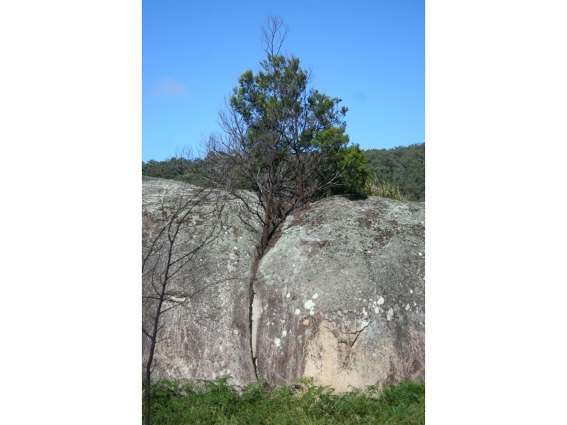 Tenterfield NSW 2372