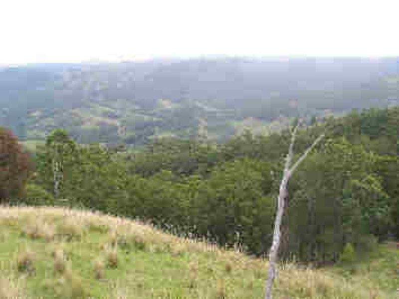 Lot 36 Commissioner Ck Bruxner Highway, Tenterfield NSW 2372