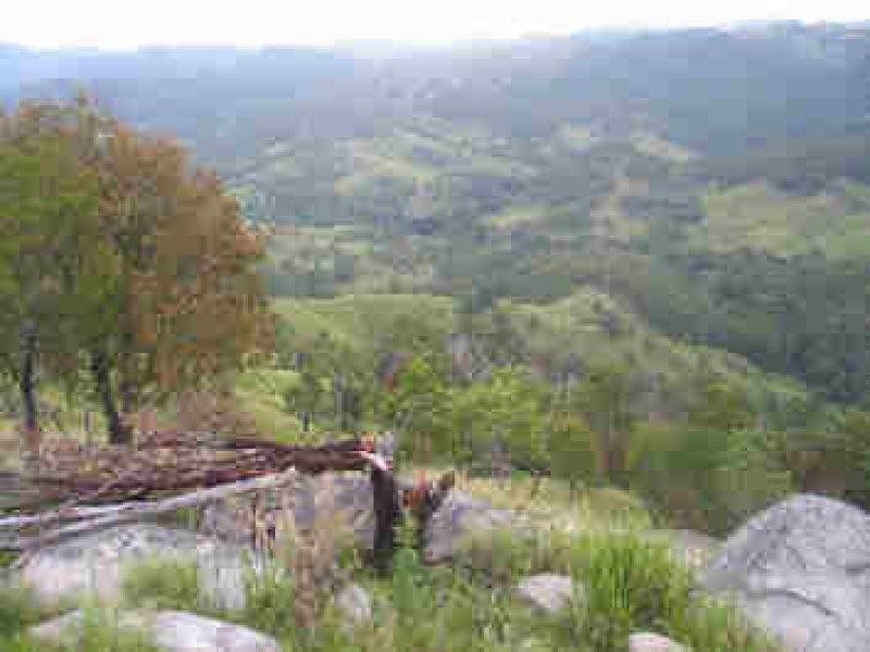 Lot 36 Commissioner Ck Bruxner Highway, Tenterfield NSW 2372