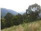 Lot 36 Commissioner Ck Bruxner Highway, Tenterfield NSW 2372