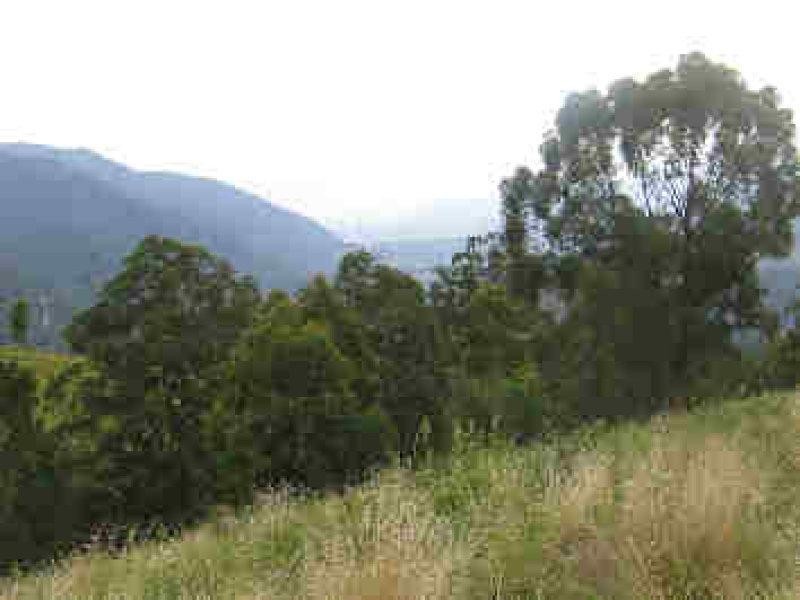 Lot 36 Commissioner Ck Bruxner Highway, Tenterfield NSW 2372