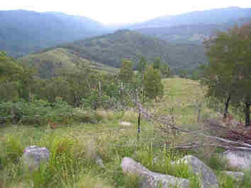 Lot 36 Commissioner Ck Bruxner Highway, Tenterfield NSW 2372
