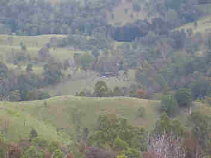 Lot 36 Commissioner Ck Bruxner Highway, Tenterfield NSW 2372