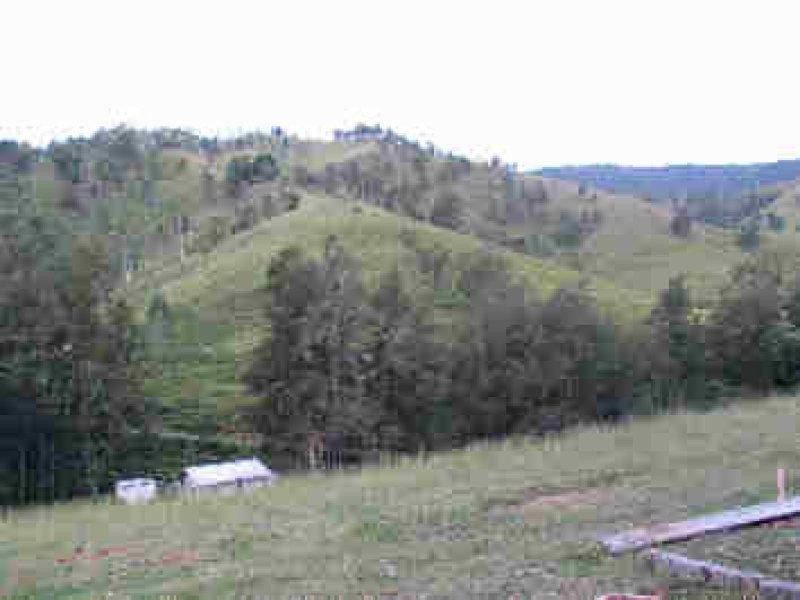 Lot 36 Commissioner Ck Bruxner Highway, Tenterfield NSW 2372