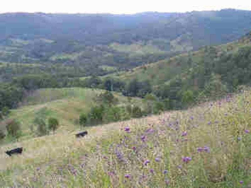 Lot 36 Commissioner Ck Bruxner Highway, Tenterfield NSW 2372