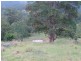 Lot 36 Commissioner Ck Bruxner Highway, Tenterfield NSW 2372