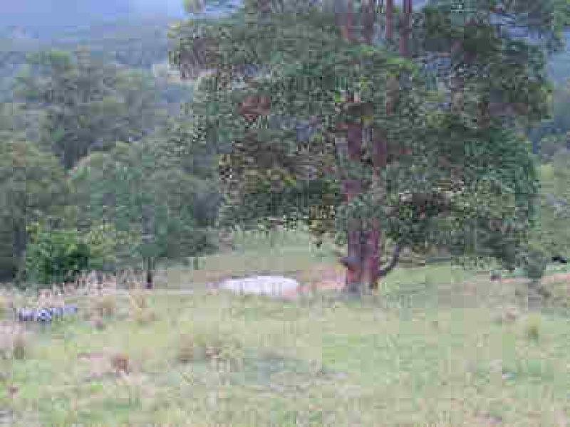 Lot 36 Commissioner Ck Bruxner Highway, Tenterfield NSW 2372