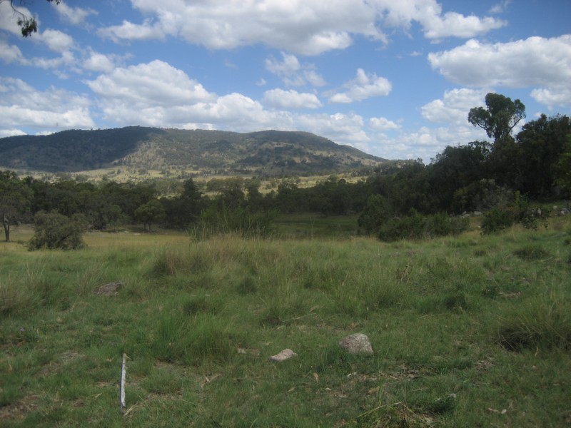 Tenterfield NSW 2372