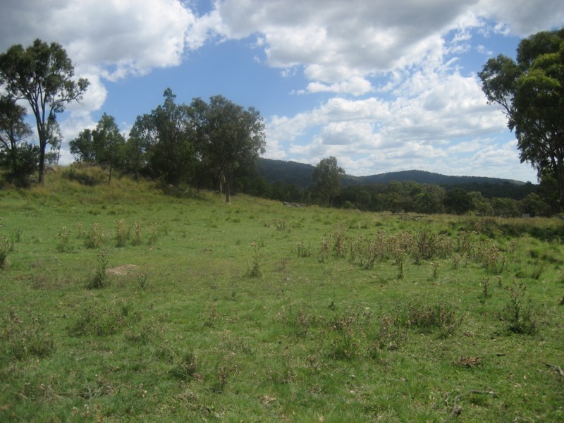 Tenterfield NSW 2372