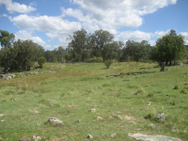 Tenterfield NSW 2372