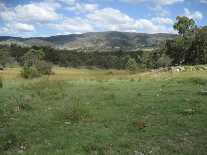 Tenterfield NSW 2372