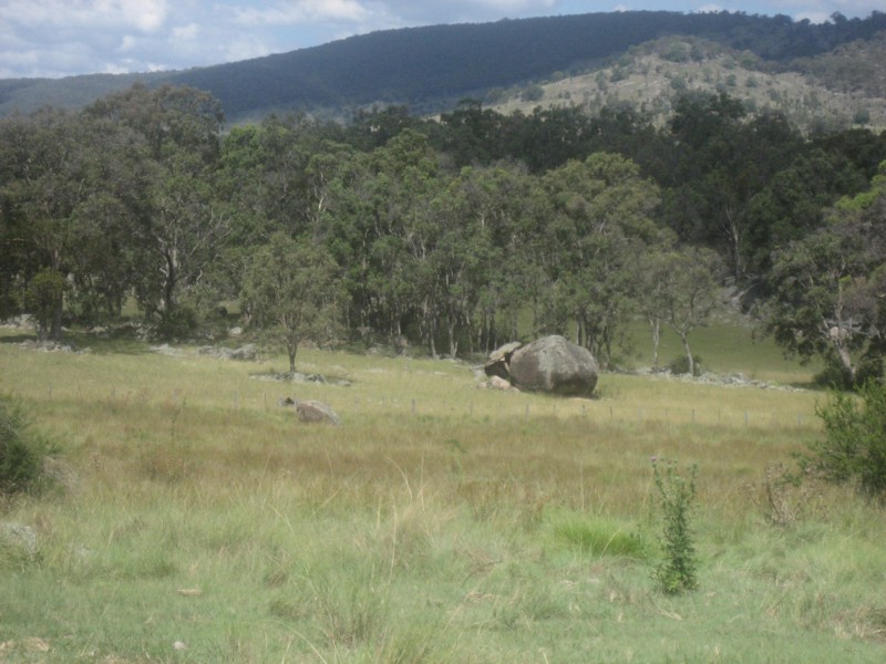 Tenterfield NSW 2372