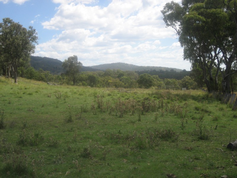 Tenterfield NSW 2372