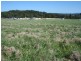 Lot 43 Saddlers Estate, Tenterfield NSW 2372