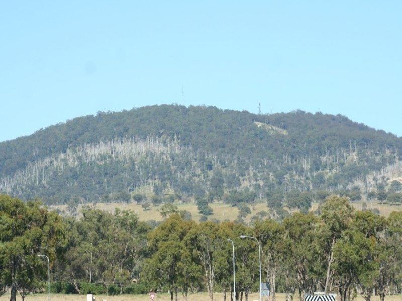 Lot 43 Saddlers Estate, Tenterfield NSW 2372