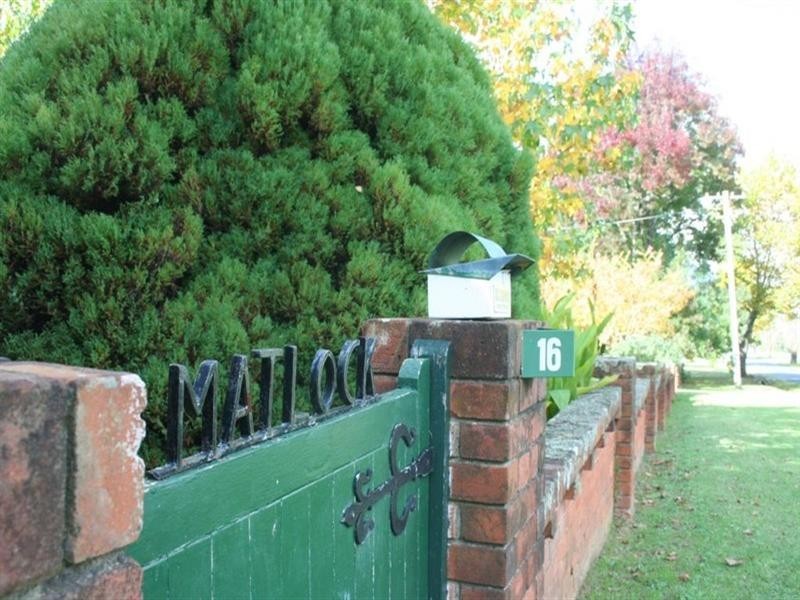 16 Naas Street, Tenterfield NSW 2372