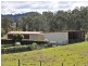 825 Scrub Road, Tenterfield NSW 2372