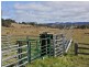 825 Scrub Road, Tenterfield NSW 2372