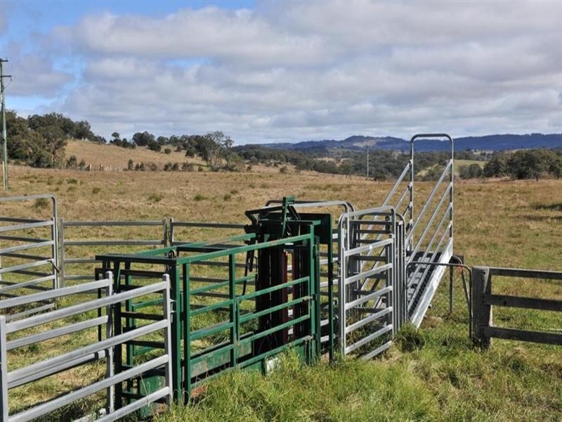 825 Scrub Road, Tenterfield NSW 2372